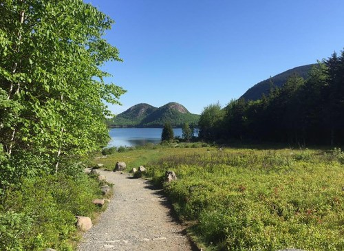 A scenic path leads to a calm lake surrounded by green hills and trees under a clear blue sky.