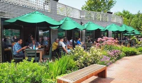 Outdoor dining area with green umbrellas, people enjoying meals, and vibrant flowers in a sunny setting.
