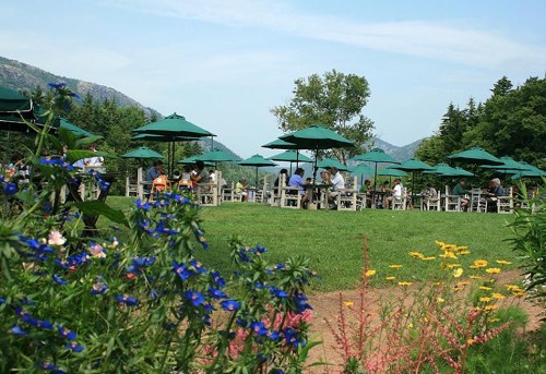 A scenic outdoor dining area with green umbrellas, surrounded by flowers and mountains in the background.