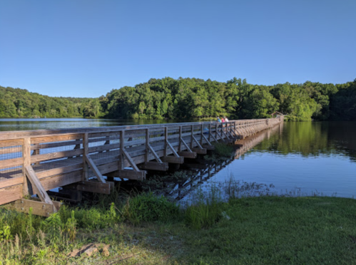 A wooden bridge extends over a calm lake, surrounded by lush green trees under a clear blue sky.