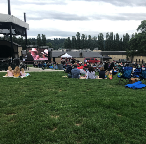 A crowd sits on the grass at an outdoor event, watching a performance on a large screen under cloudy skies.