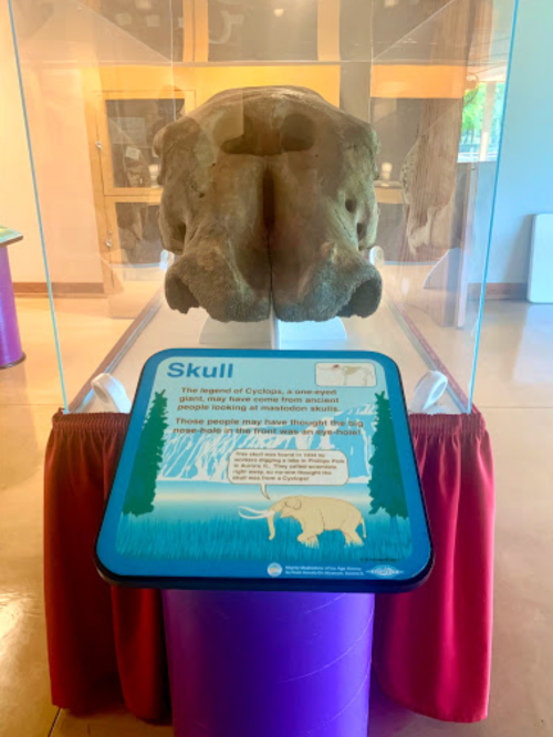 A large skull displayed in a glass case with an informational sign about Cyclops and prehistoric beliefs.