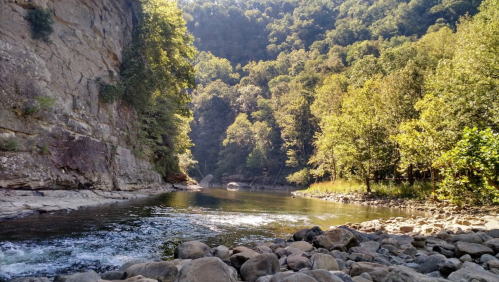 A serene river flows through a rocky landscape, surrounded by lush green trees and steep cliffs under a bright sky.