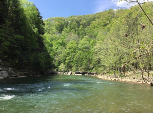 A serene river flows through a lush green landscape, surrounded by trees and hills under a clear blue sky.