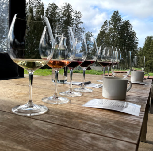 A wooden table with various wine glasses and a coffee cup, set against a backdrop of trees and cloudy skies.