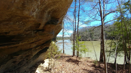 A rocky cliffside overlooks a river surrounded by trees under a clear blue sky.