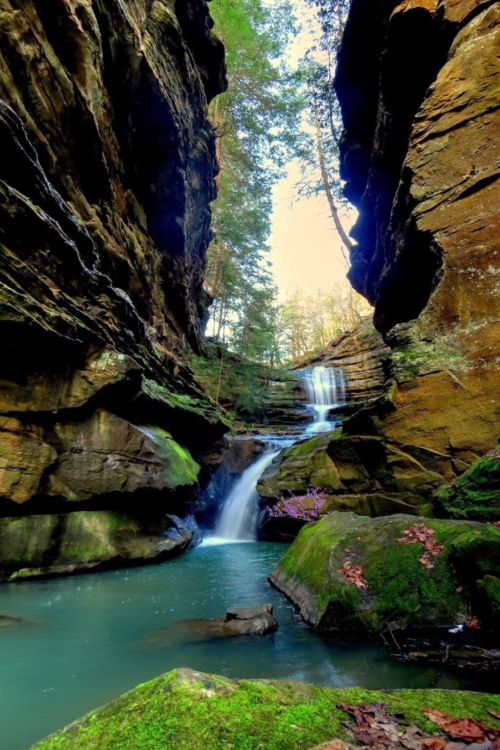 A serene waterfall cascades through rocky cliffs, surrounded by lush greenery and a tranquil blue pool below.