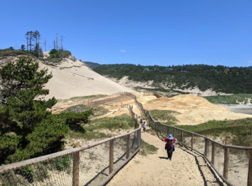 A sandy path leads through greenery to a beach, with people walking and a blue sky overhead.
