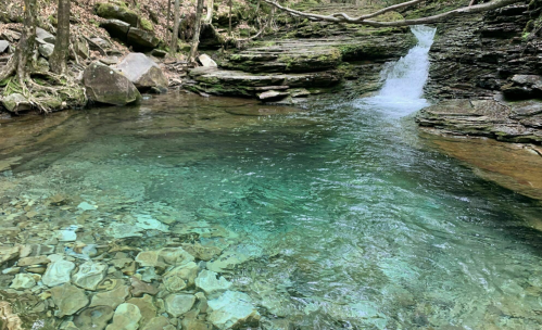 A serene natural pool with clear turquoise water, surrounded by rocks and lush greenery, featuring a small waterfall.