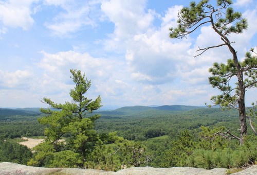A scenic view of rolling green hills and trees under a partly cloudy sky.