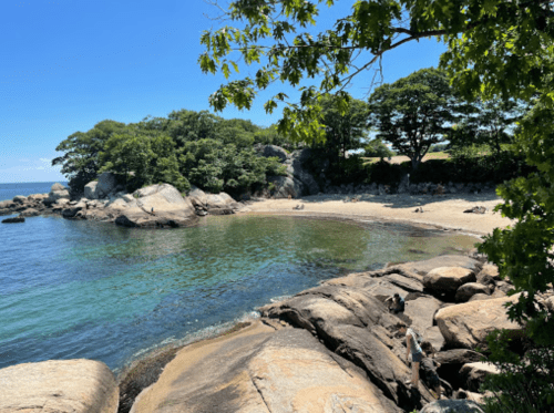 A serene beach scene with clear water, rocky shore, and lush greenery under a bright blue sky.