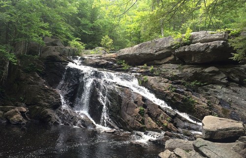 A serene waterfall cascading over rocks into a calm pool, surrounded by lush green trees and foliage.