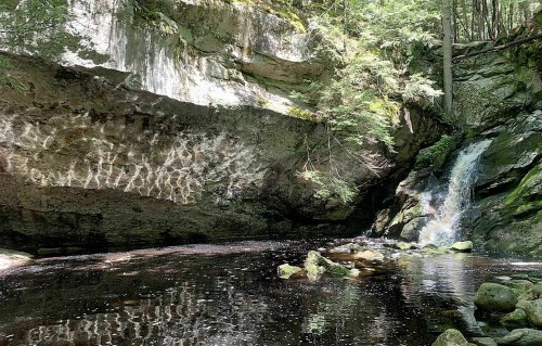 A serene forest scene featuring a small waterfall cascading into a dark pool surrounded by mossy rocks and greenery.
