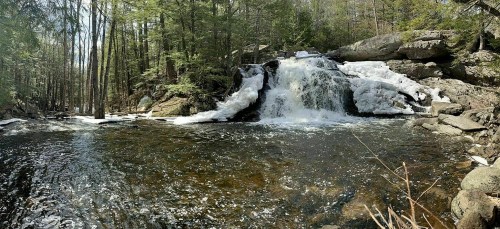 A serene waterfall cascades over rocks, surrounded by lush greenery and partially frozen water in a tranquil forest setting.