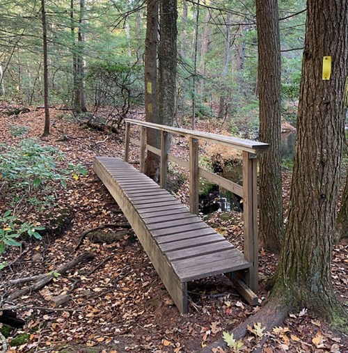 A wooden bridge over a small stream in a forest, surrounded by trees and fallen leaves.