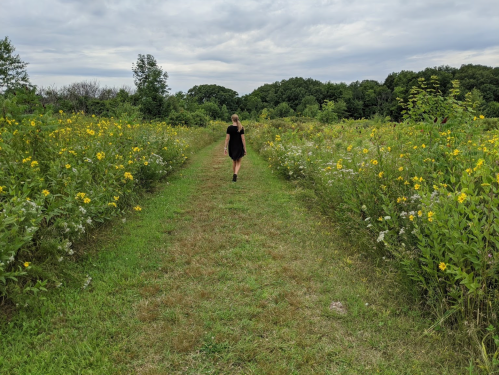 A person in a black dress walks down a grassy path surrounded by wildflowers under a cloudy sky.