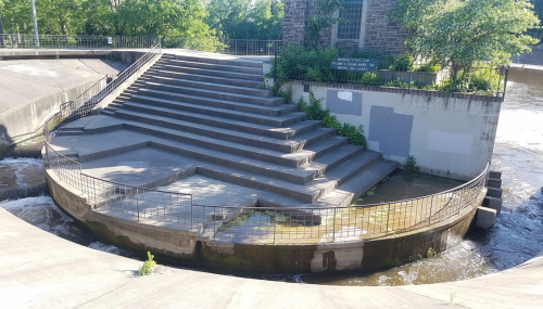 Concrete steps leading down to a river, surrounded by greenery and a railing, with water flowing nearby.