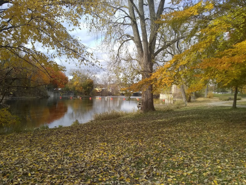 A serene park scene with a calm pond surrounded by trees displaying autumn colors and fallen leaves on the ground.
