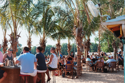 A lively beach scene with people socializing under palm trees, enjoying drinks at outdoor tables.