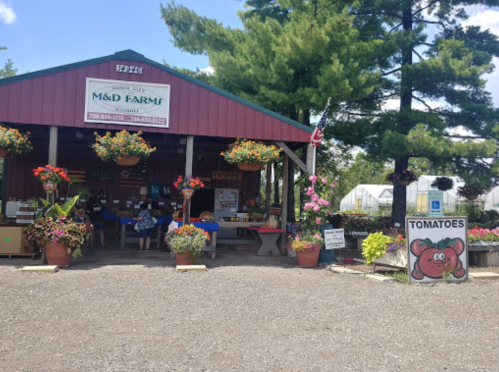 A farm stand with a red roof, flowers, and a sign for tomatoes, surrounded by trees and customers shopping.