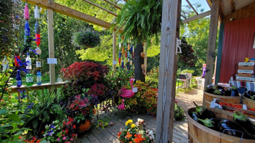 A vibrant garden scene with colorful plants, hanging decorations, and wooden structures, creating a lively outdoor space.