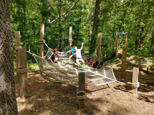 Children playing on a rope net structure in a wooded playground, enjoying a sunny day outdoors.