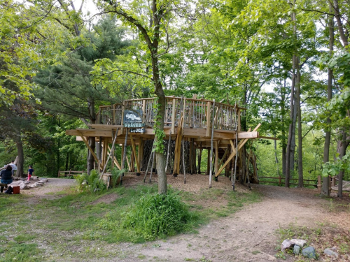 A wooden treehouse with a sign reading "Beaver Lodge," surrounded by trees and greenery in a park setting.