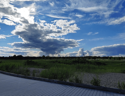 A scenic view of a blue sky filled with clouds over a grassy landscape and wooden pathway.
