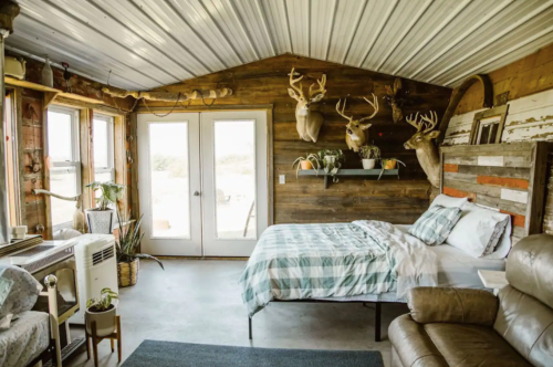 Cozy rustic bedroom with wooden walls, a bed, armchair, and mounted deer heads, featuring large windows and natural light.