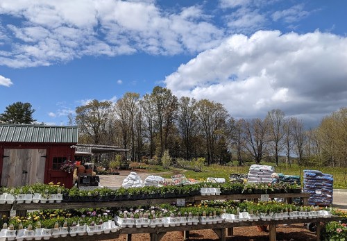 A vibrant garden center with flower trays, bags of soil, and a blue sky with fluffy clouds in the background.