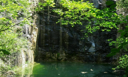 A serene natural scene featuring a rocky cliff with a small waterfall cascading into a tranquil pool surrounded by greenery.