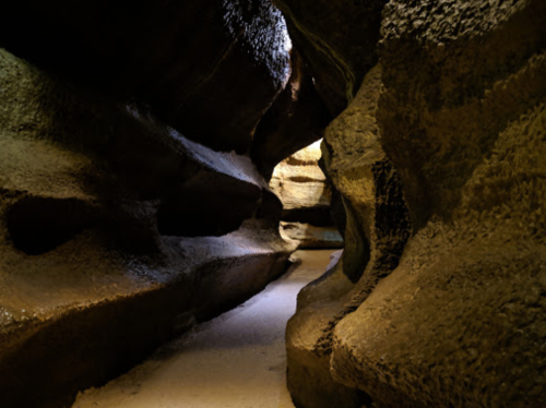 A narrow, winding cave with textured rock walls and soft lighting illuminating the path ahead.
