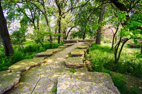A stone pathway winds through a lush, green forest with trees and vibrant foliage.