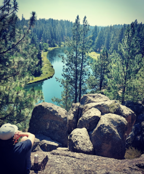 A person sits on a rocky ledge overlooking a serene river surrounded by tall pine trees and lush greenery.
