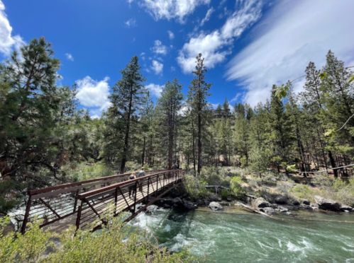 A wooden bridge spans a river surrounded by tall pine trees and a bright blue sky with scattered clouds.
