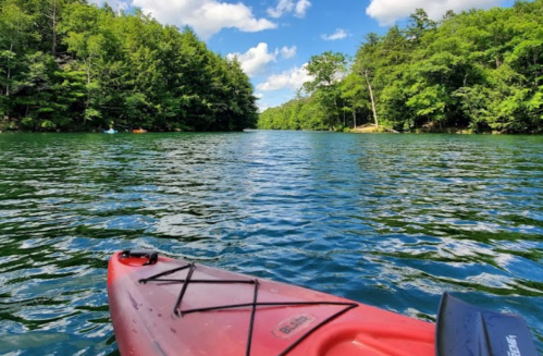 A red kayak on calm water, surrounded by lush green trees and a bright blue sky with fluffy clouds.