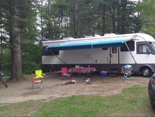 A parked RV with an awning, surrounded by chairs, a picnic table, and a dog in a forested campsite.