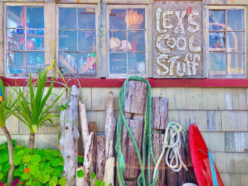A rustic shop exterior with a sign reading "Lex's Cool Stuff," surrounded by driftwood and colorful plants.