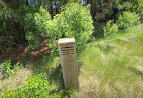 A wooden post with markings stands amidst lush green grass and shrubs in a natural setting.