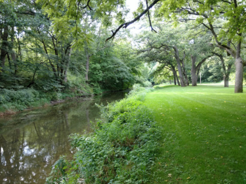 A serene riverbank scene with lush greenery and trees lining the water's edge, creating a peaceful natural setting.