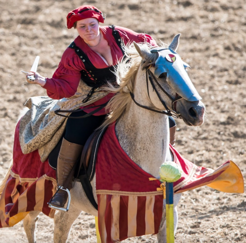 A woman in medieval attire rides a horse, holding a sword, with a decorated saddle and a vibrant red cape.