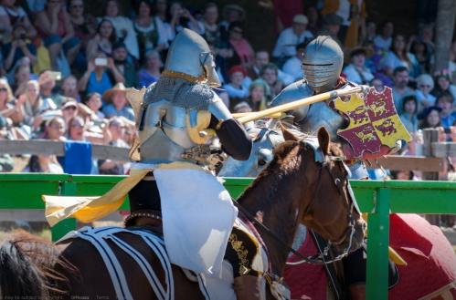 Two knights in armor jousting on horseback, with a cheering crowd in the background.
