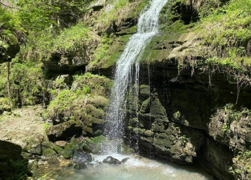 A serene waterfall cascading over moss-covered rocks into a calm pool, surrounded by lush greenery.