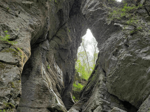 A rocky canyon with a triangular opening at the top, surrounded by lush greenery and towering stone walls.