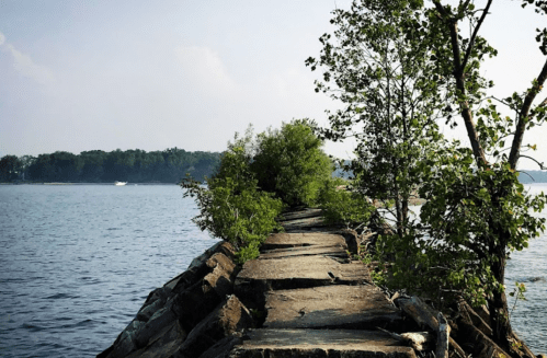 A rocky jetty extends into calm water, lined with greenery, under a clear sky.