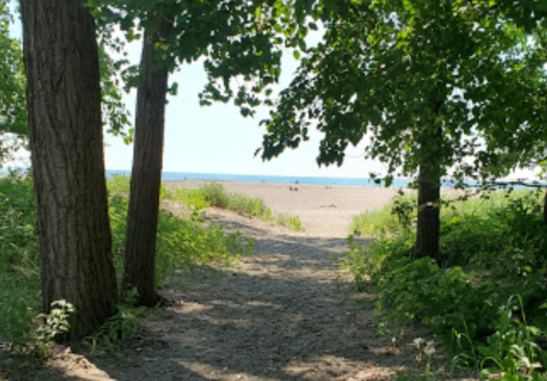 A sandy path leads to a beach, framed by trees and greenery under a clear sky.