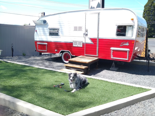 A vintage red and white camper trailer parked beside a small patch of artificial grass, with a dog lying on it.