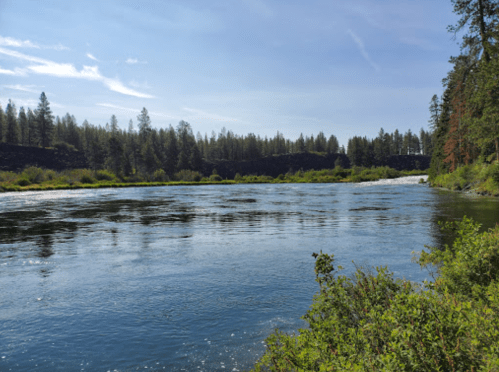 A serene river flows through a lush landscape, surrounded by trees and a clear blue sky.