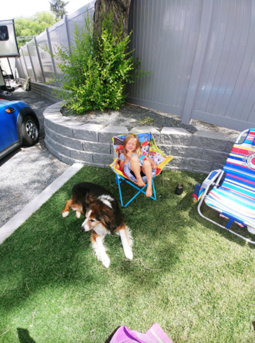 A child sits in a small chair beside a dog on grass, with a car and a fence in the background.