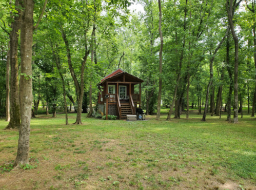 A small wooden cabin surrounded by lush green trees in a serene forest setting.